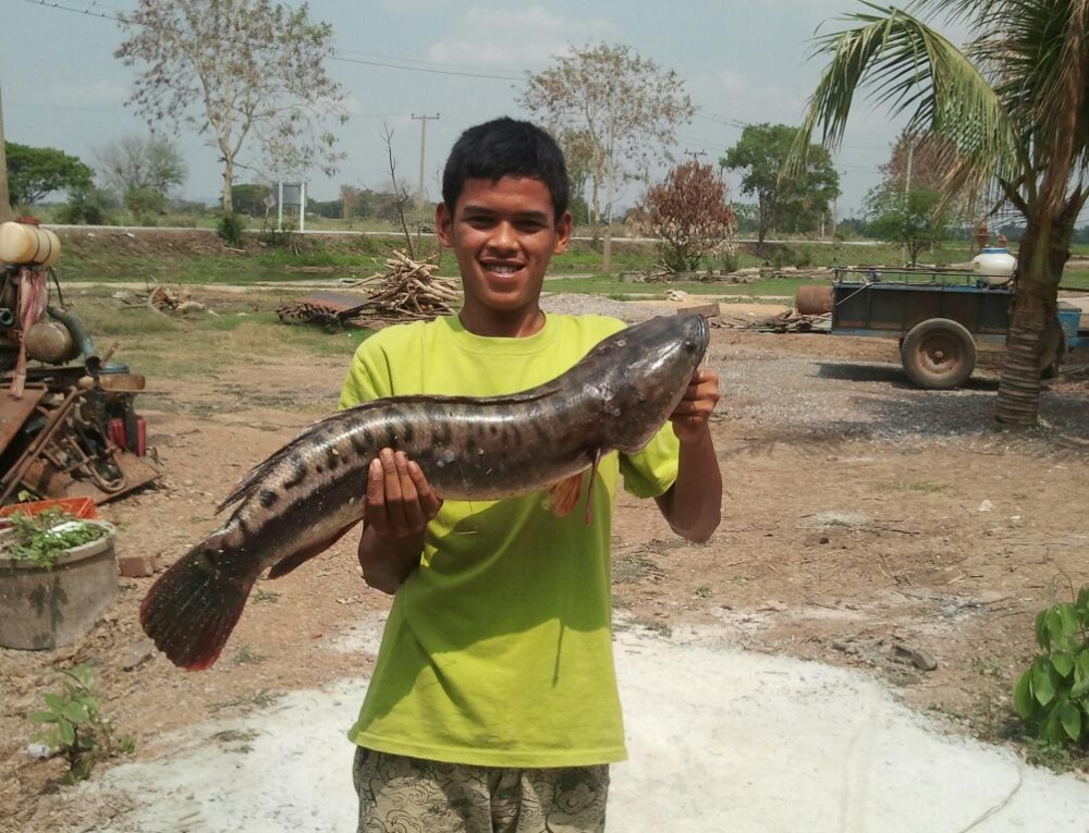 คนอวดของใหญ่