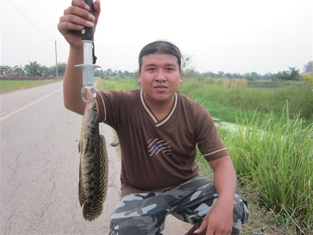 ตกปลายามเย็น ราชบุรี ก็ยังมีดีอยู่ 