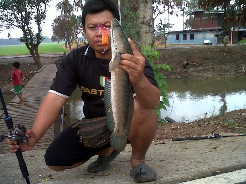 คัดไซด์ ชายคลอง 