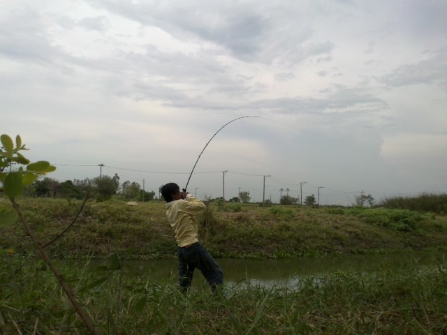 +++!!!หนอนผี!!!+++