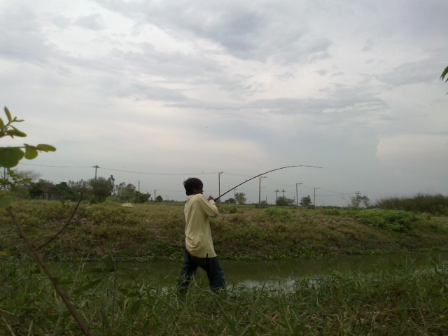 +++!!!หนอนผี!!!+++