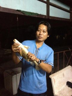 บางประกงเมื่อคืนวันเสาร์