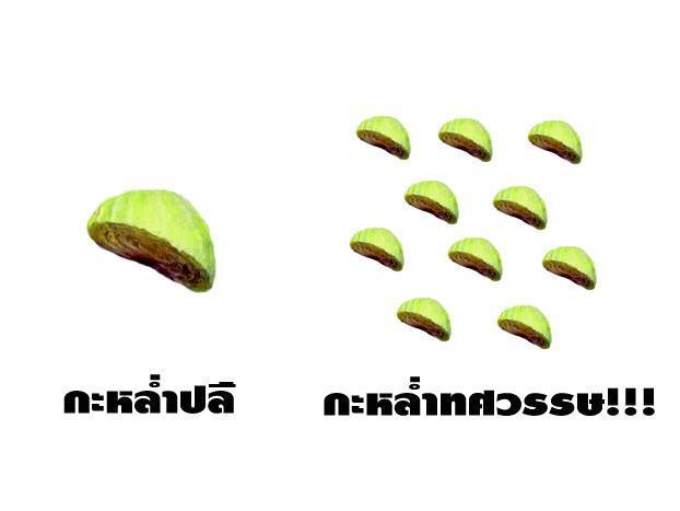 ใช่หรือไม่ ขำ ขำ ครับ