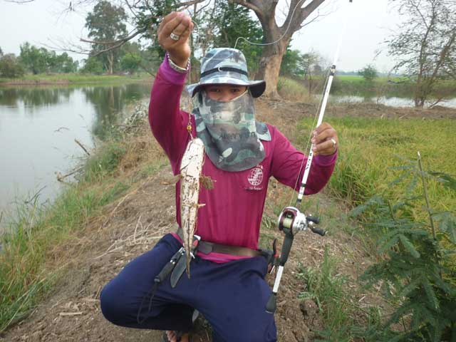 ต่อเลยครับ เคาะกระดี่ยามเย็น หมายกรุงเก่า