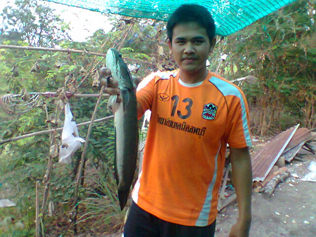 เล็ก ๆ น้อย ( ทดลองส่งคราบ )