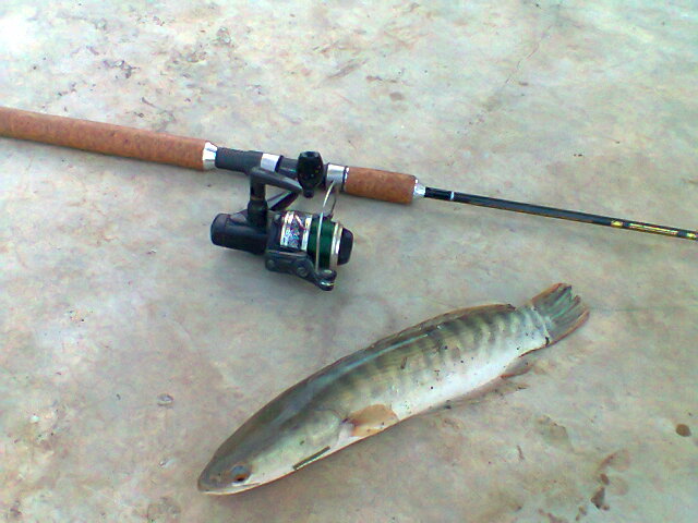 เล็ก ๆ น้อย ( ทดลองส่งคราบ )