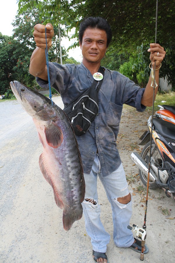 ของเขาหญ่ายๆๆๆ