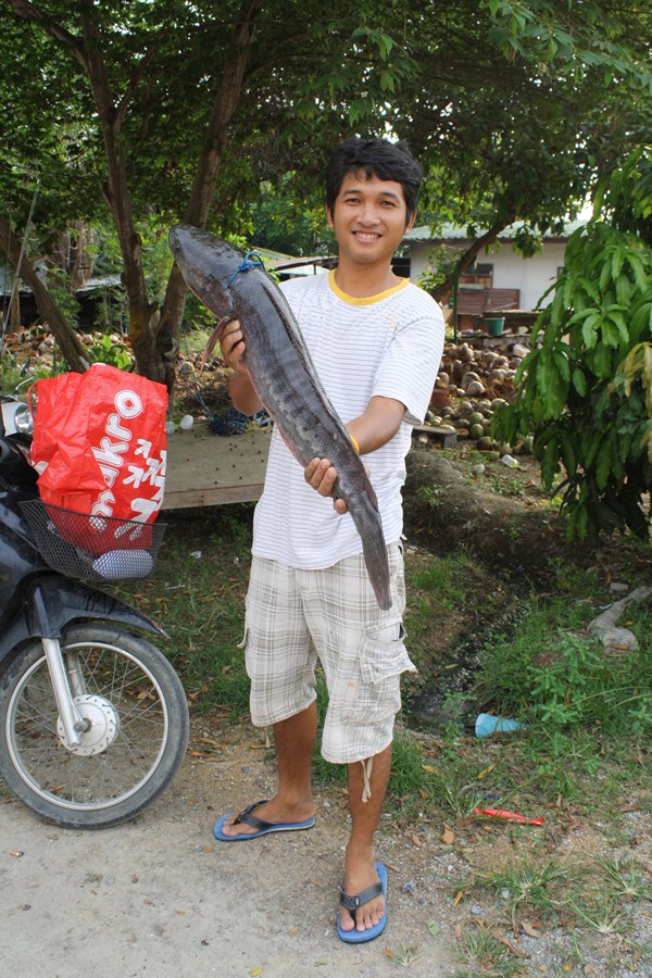 ของเขาหญ่ายๆๆๆ