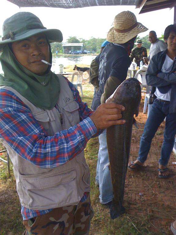 ภาพทริบบ่อหนุ่มบางคล้า  ทีมสุโข   วันที่ 11-3-55