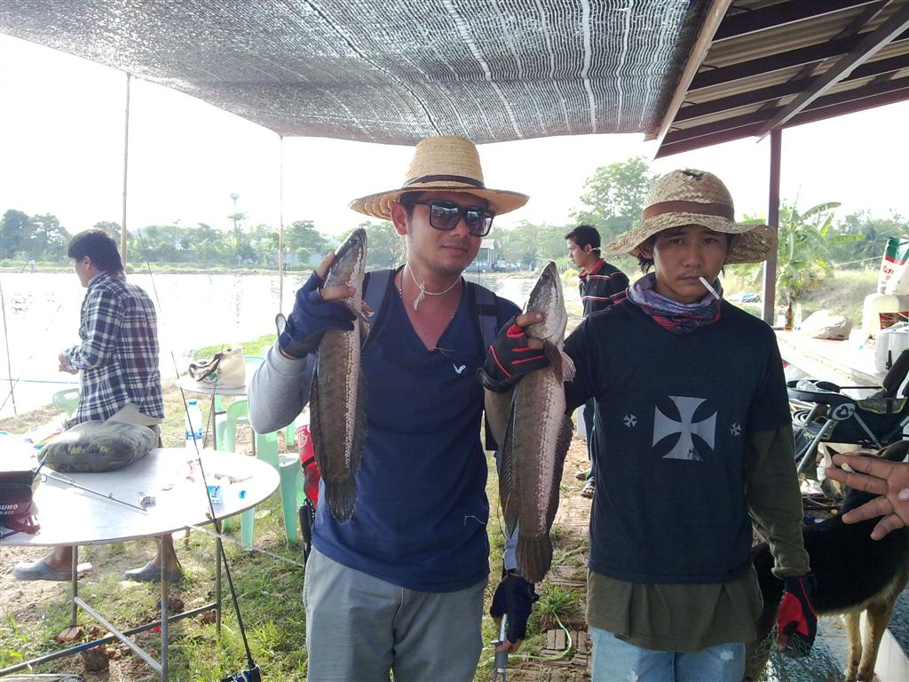 ภาพทริบบ่อหนุ่มบางคล้า  ทีมสุโข   วันที่ 11-3-55