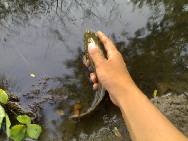 ลองสายใหม่ PE