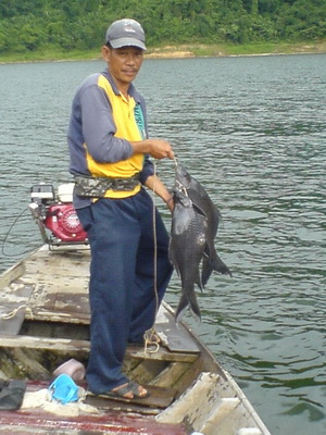 ปลากาขุนด่าน