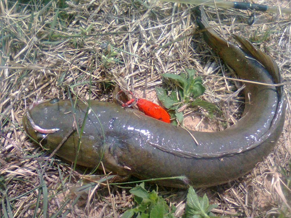 ทริป บ.หนองโน และวาปี