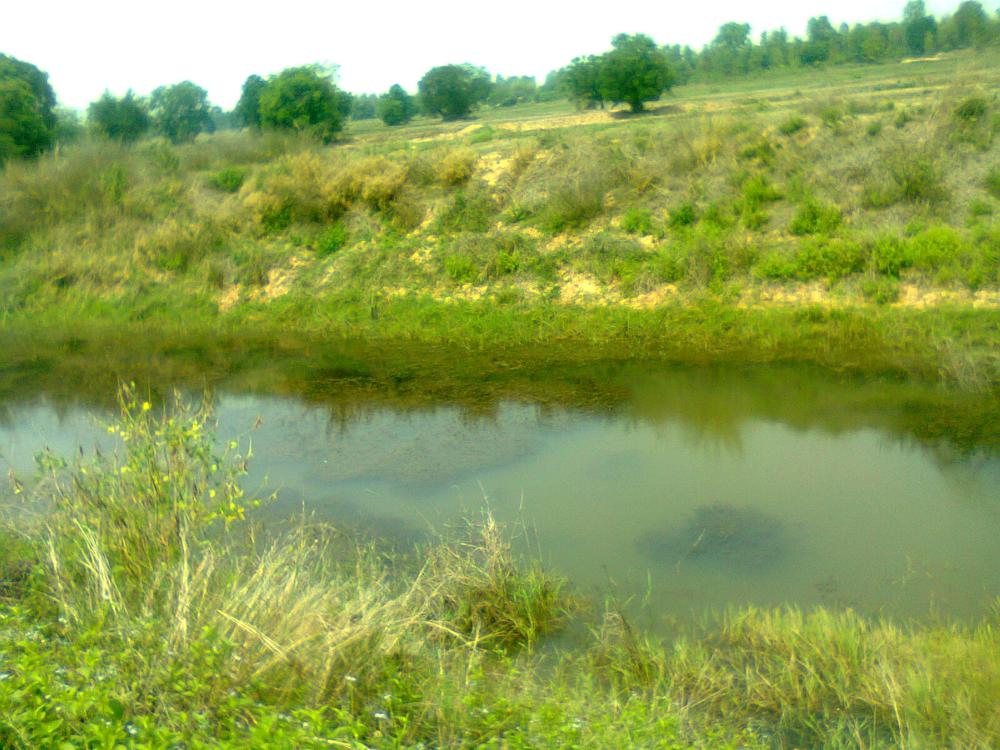 ทริป บ.หนองโน และวาปี