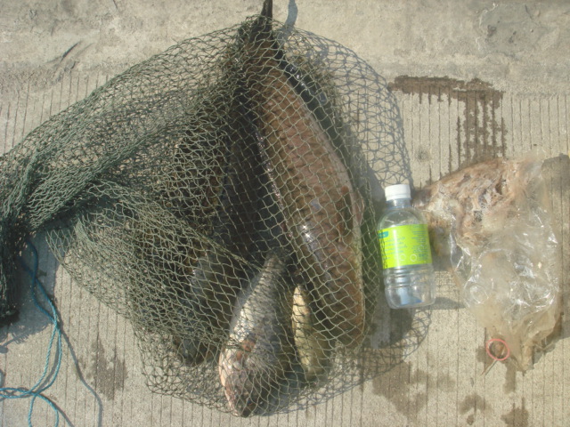 ฝากให้น้าต้นกิตติพงษ์ดูครับ