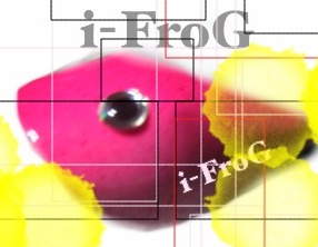 เสร็จอีกแล้วครับกบ i-FroG อิอิ ระยองฮิ