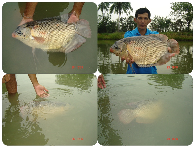 สดๆ ร้อนๆ จร้า 
