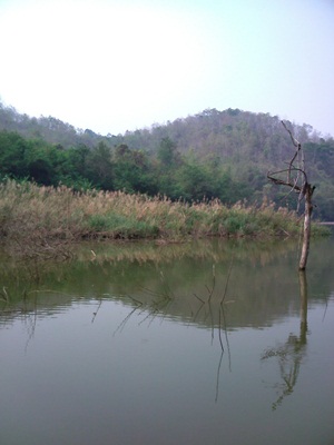 เพราะบรรยากาศมันพาไป^^