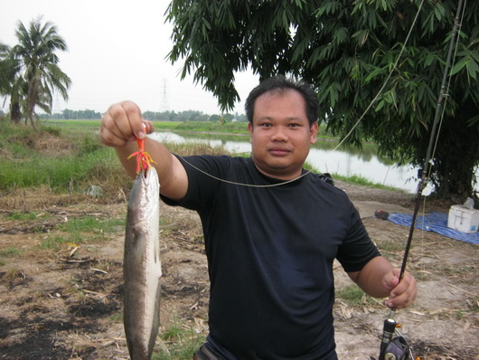 อาทิตย์สบาย สบายที่ไทรน้อย