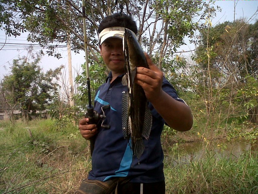 สกรัมฟร้อก ผมหายคับ