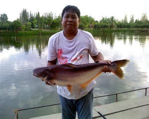 Cha-am fishing Park 