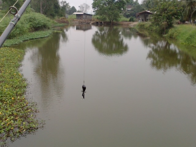 ฟ้องด้วยภาพ...