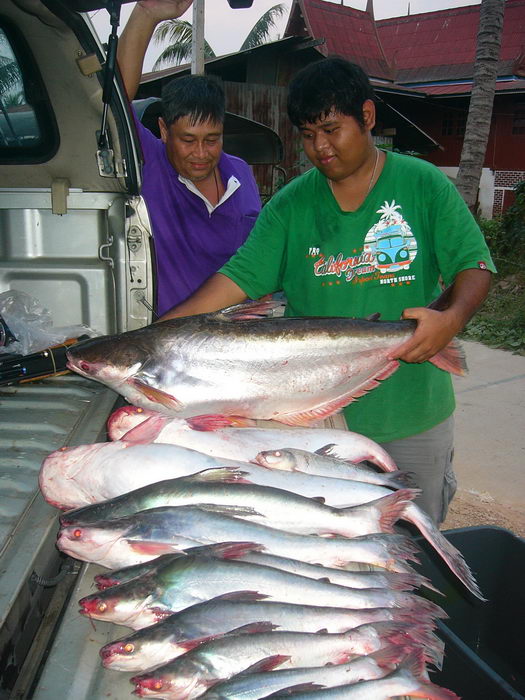 Last Weekend @ บางไทร