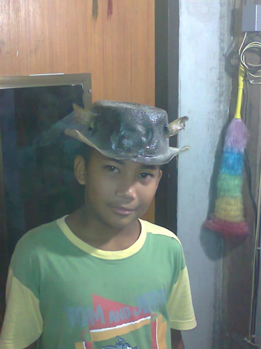 ปลาปักเป๋าก็มีค่าครับ