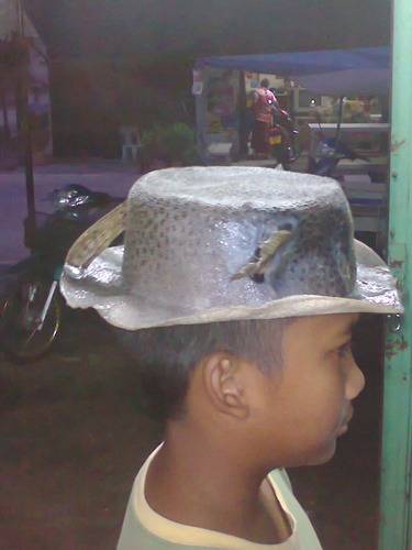 ปลาปักเป๋าก็มีค่าครับ