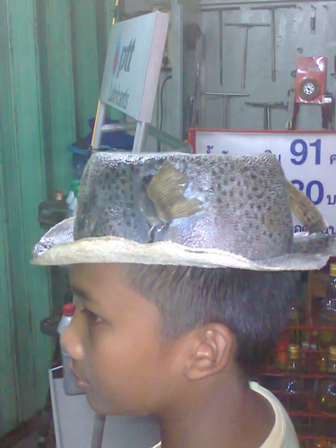 ปลาปักเป๋าก็มีค่าครับ