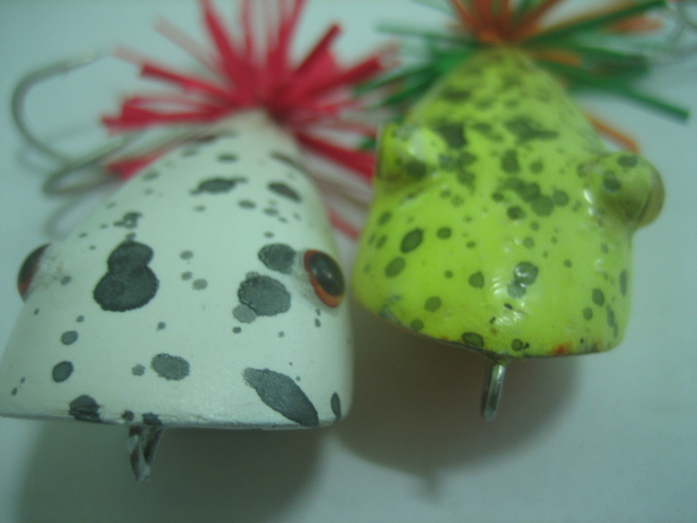 โดดมากปลาเริ่มจะชินขอส่ายมั่งครับ i-FroG