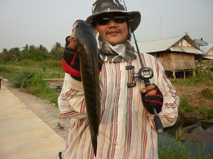 ไปเทส กบ "กัตจัง" ไซร์เล็กๆ 