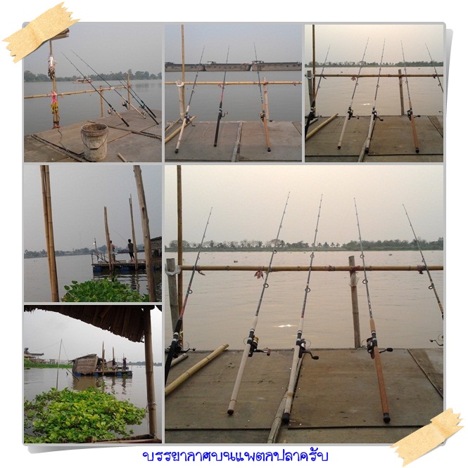 ปลาแม่น้ำเจ้าพระยา