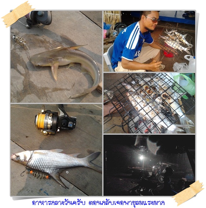 ปลาแม่น้ำเจ้าพระยา
