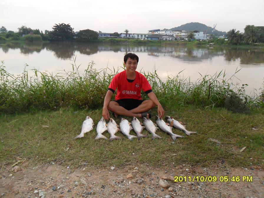 ภาพเก่าๆ