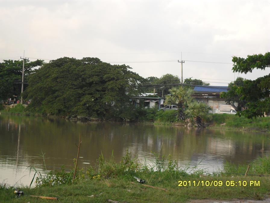 ภาพเก่าๆ