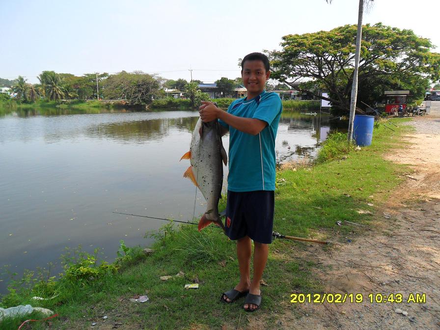 ลูกสวาย