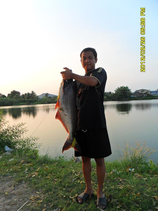 ลูกสวาย 2