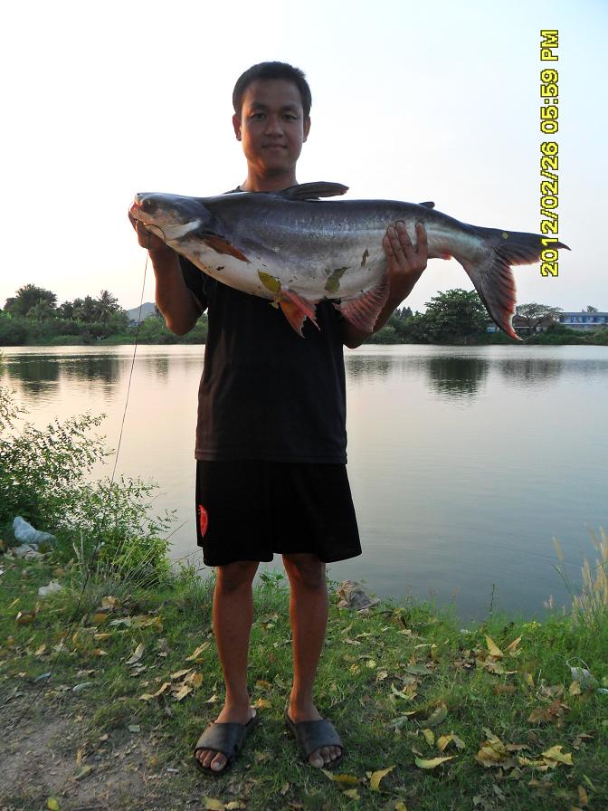 ลูกสวาย 2