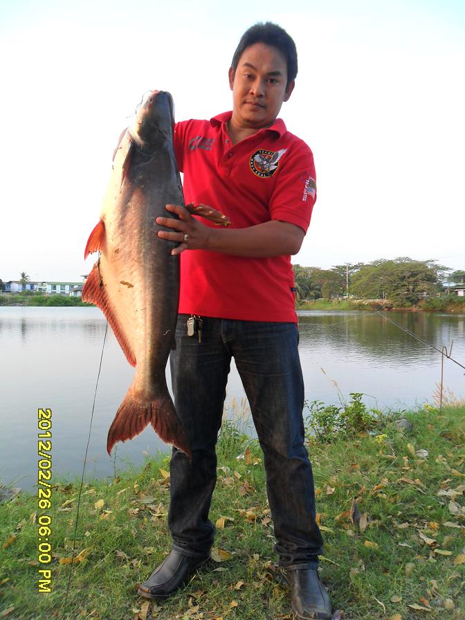 ลูกสวาย 2