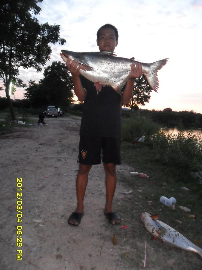 ลูกสวาย 3