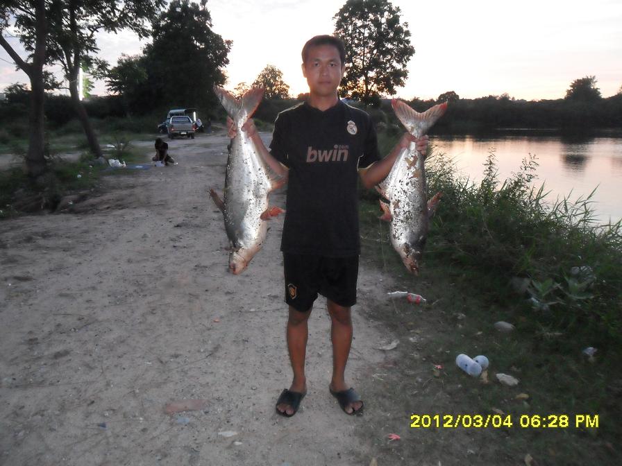 ลูกสวาย 3