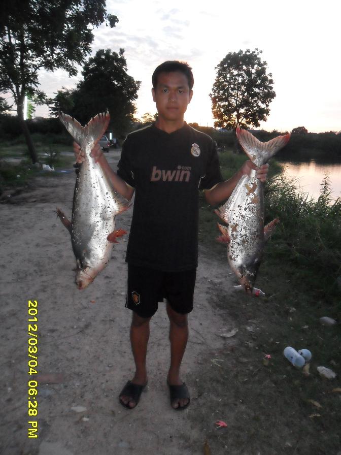 ลูกสวาย 3