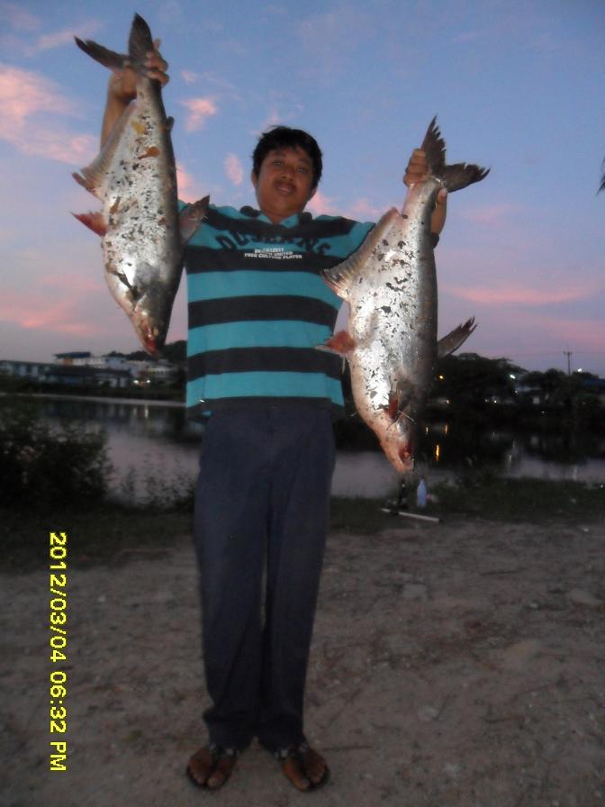 ลูกสวาย 3