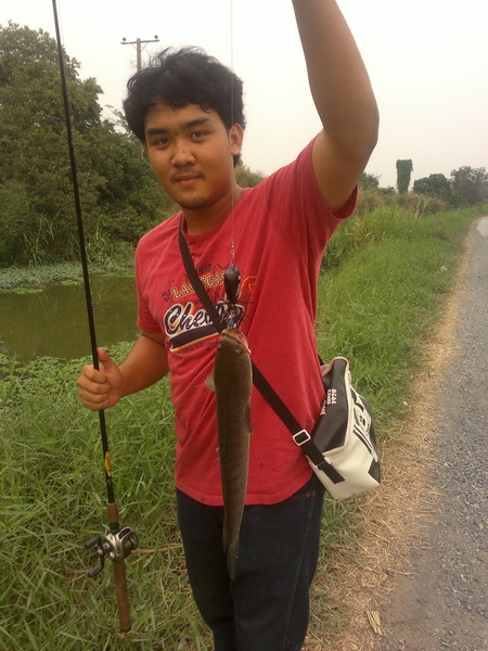 ปีศาจ!!! 