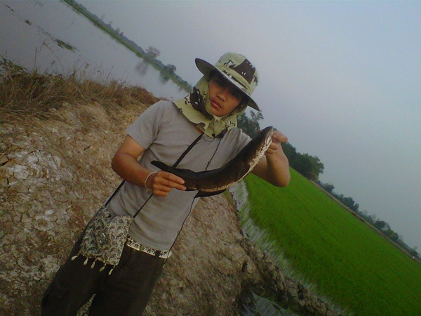 ช่อน โด ณ บางซ้าย
