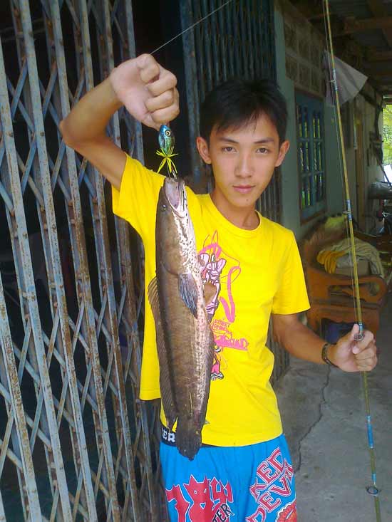 กลับบ้าน ต่างจังหวัด