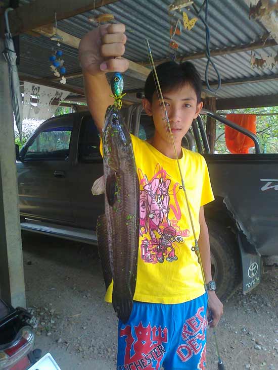 กลับบ้าน ต่างจังหวัด