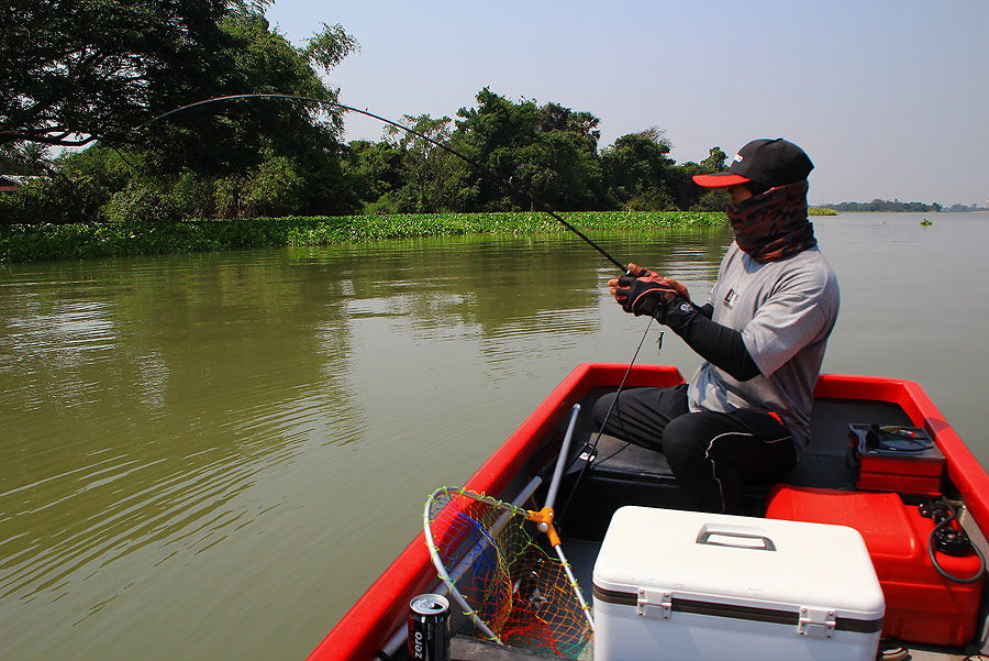 @...จารเม็ดน้ำจืด (เปคู) ยึดเจ้าพระยาแล้ว...@
