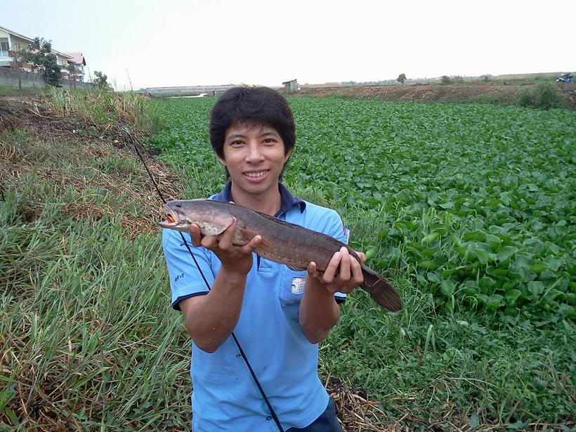 ไปหวดมา 5 ไม้เลิกเลย